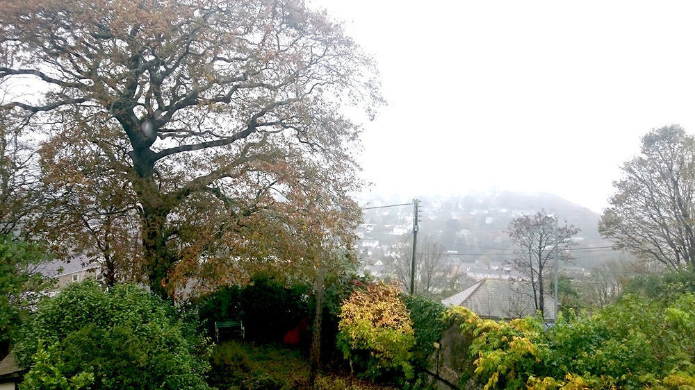 Bankside Bed & Breakfast St Austell Extérieur photo